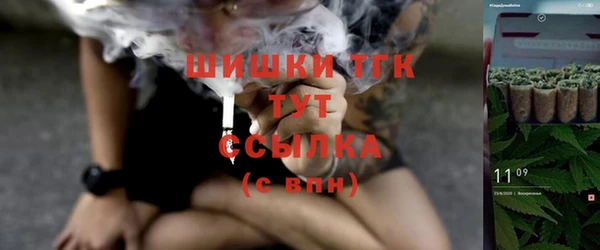 ГАЛЛЮЦИНОГЕННЫЕ ГРИБЫ Вязники