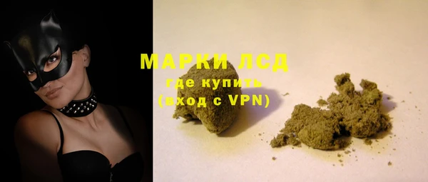 ГАЛЛЮЦИНОГЕННЫЕ ГРИБЫ Вязники